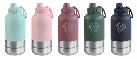 3 in 1 Portable Stainless Steel Water Bottle for Pets and Owners-32 OZ